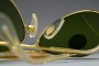 B&L Ray-Ban USA MASTERPIECE OUTDOORSMAN Gold / ♯3 58-14